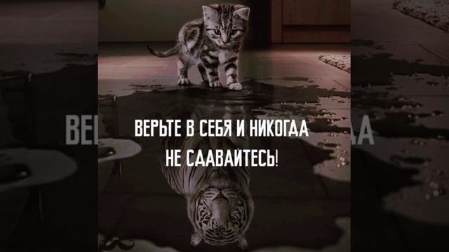 Песня "Слышишь звуки эха?", автор музыки Аристагесов М.А., автор слов песни Екатерина Джотари