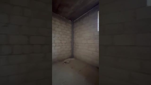 Центральная F 88659407
