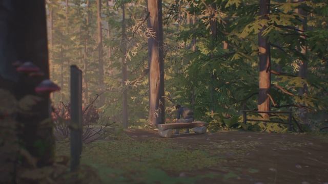 Life is Strange 2 Sean Diaz sitting in the woods Scene 4K