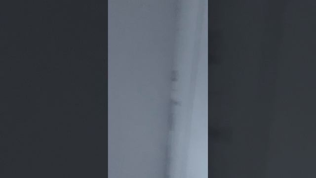 21-12-2024