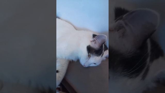 1000000756.mp4