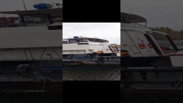 1000031722.mp4Волга.21.12.2024г.
