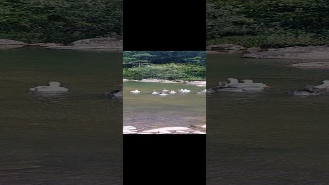1000444621.mp4