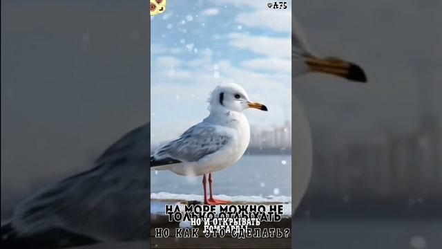 На море можно не только отдыхать, но и открывать ломбарды