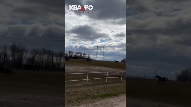 @KvadroZona Республика Марий Эл #квадроциклы #automobile #экстрим#путешествияпороссии#offroad