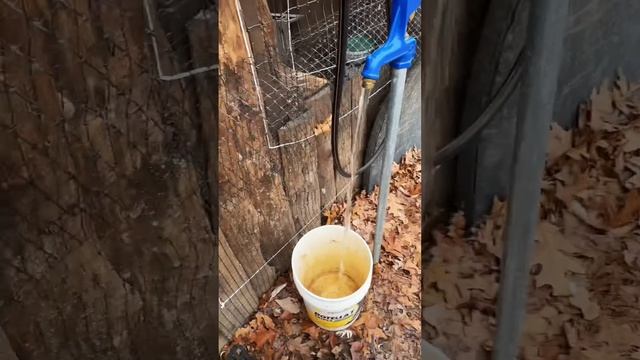 The Outhouse Isn’t The Inconvenient Part Of This Lifestyle