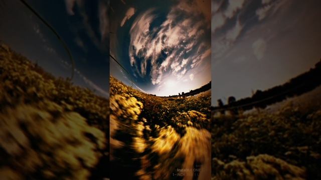 Картинка из давнишнего сна.mp4