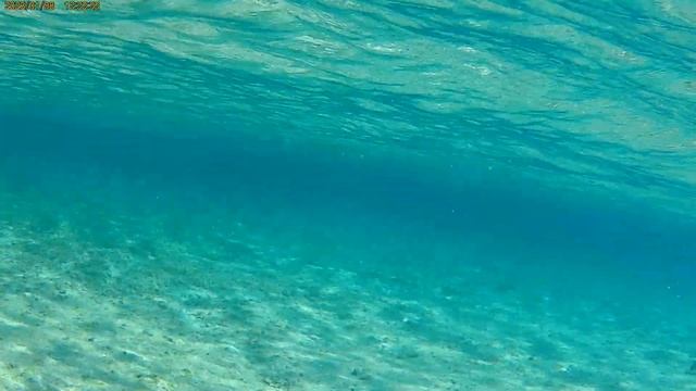 Морское видео Египет 2023