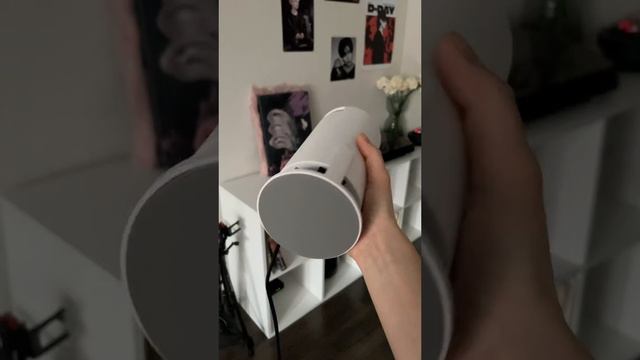 Идеальный проктор