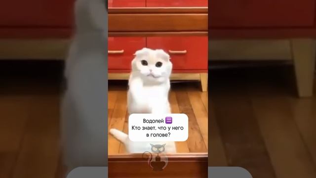 1000011033.mp4