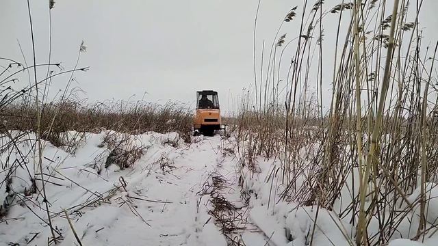 1000059500.mp4камыши