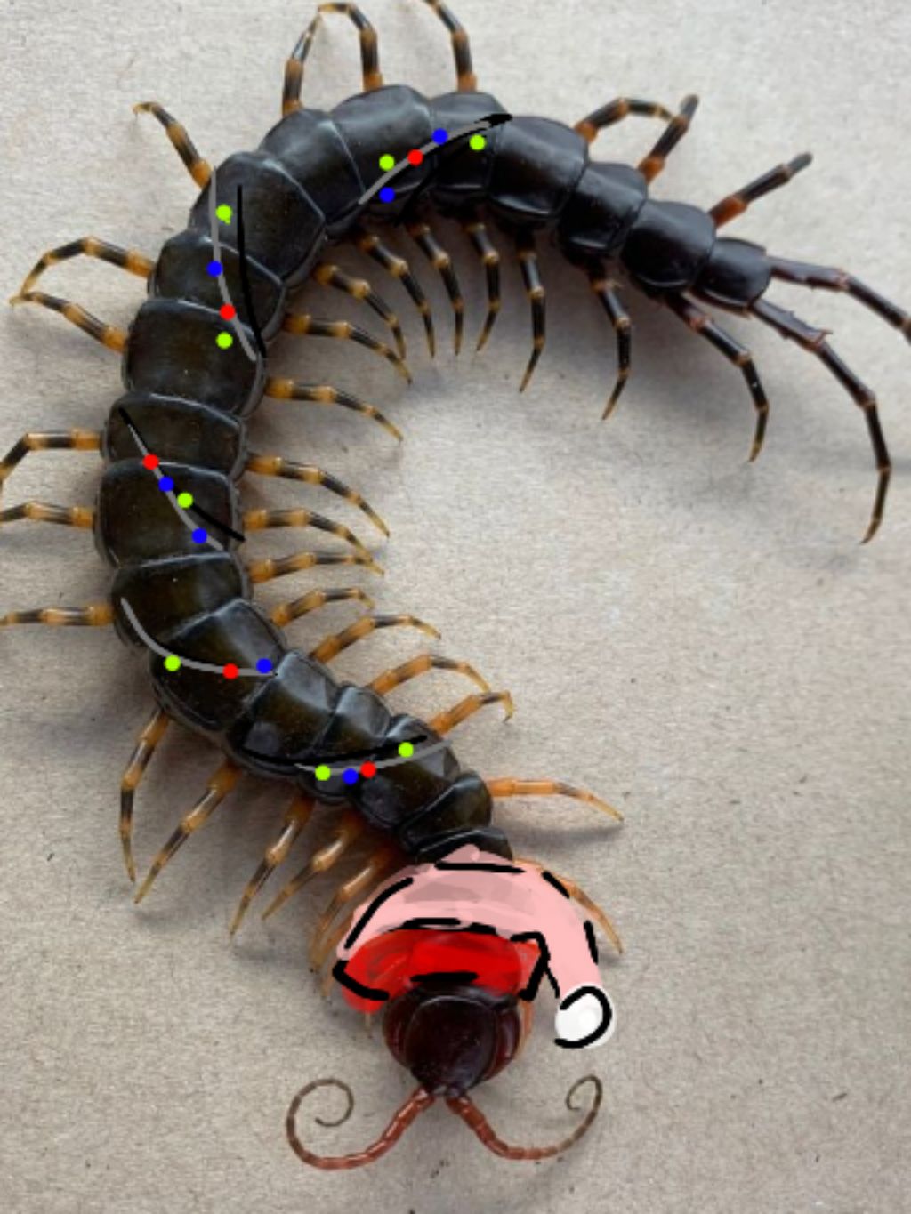 Украшает команту к новому году