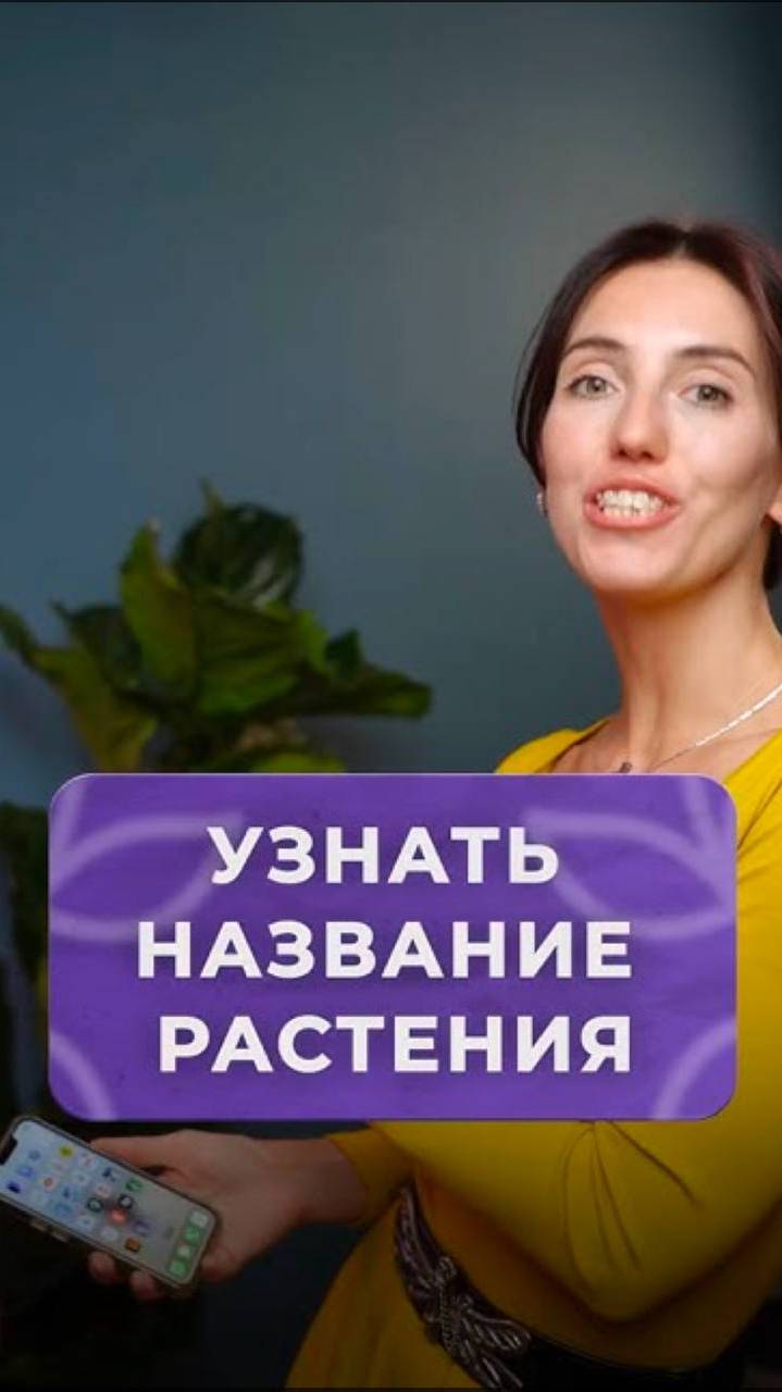 Как узнать название растения с помощью смартфона？ #растения #уход