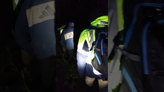 Вывод потеряшки из леса