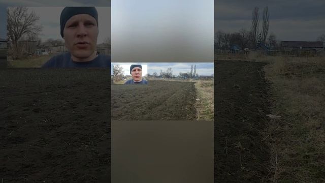 Купить мотоблок или минитрактор для огорода?