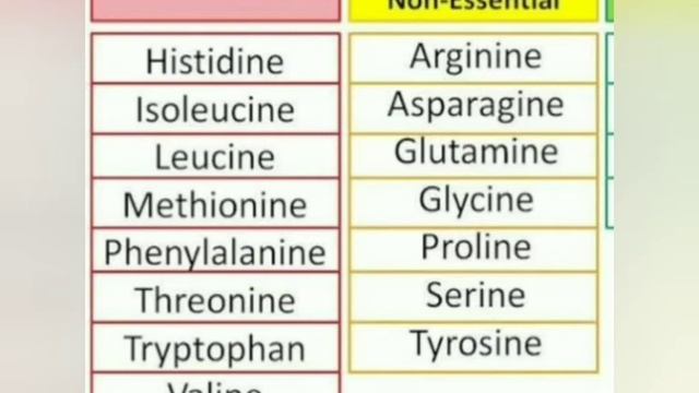 Aminoacid explained in tamil