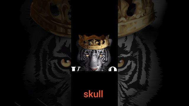 почему был skull а стал king 👑