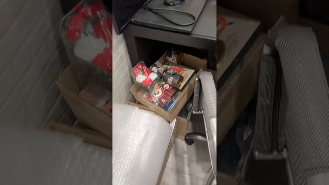 Как я готовлюсь к своему первому стриму. #приют #животные #приютдлясобак #собака #янарей