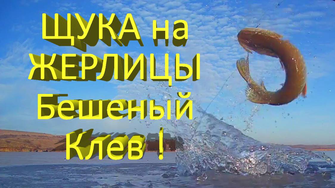 🔥 ЩУКА на ЖЕРЛИЦЫ, бешеный клев: 15 сработок за 3 часа, вот такой он ПЕРВЫЙ ЛЕД!!! 🔥