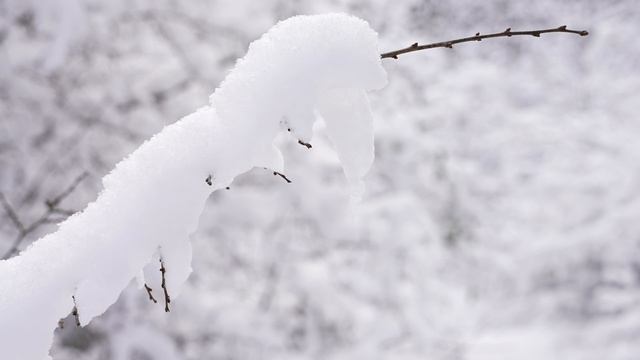 Зима  Новороссийск  4К