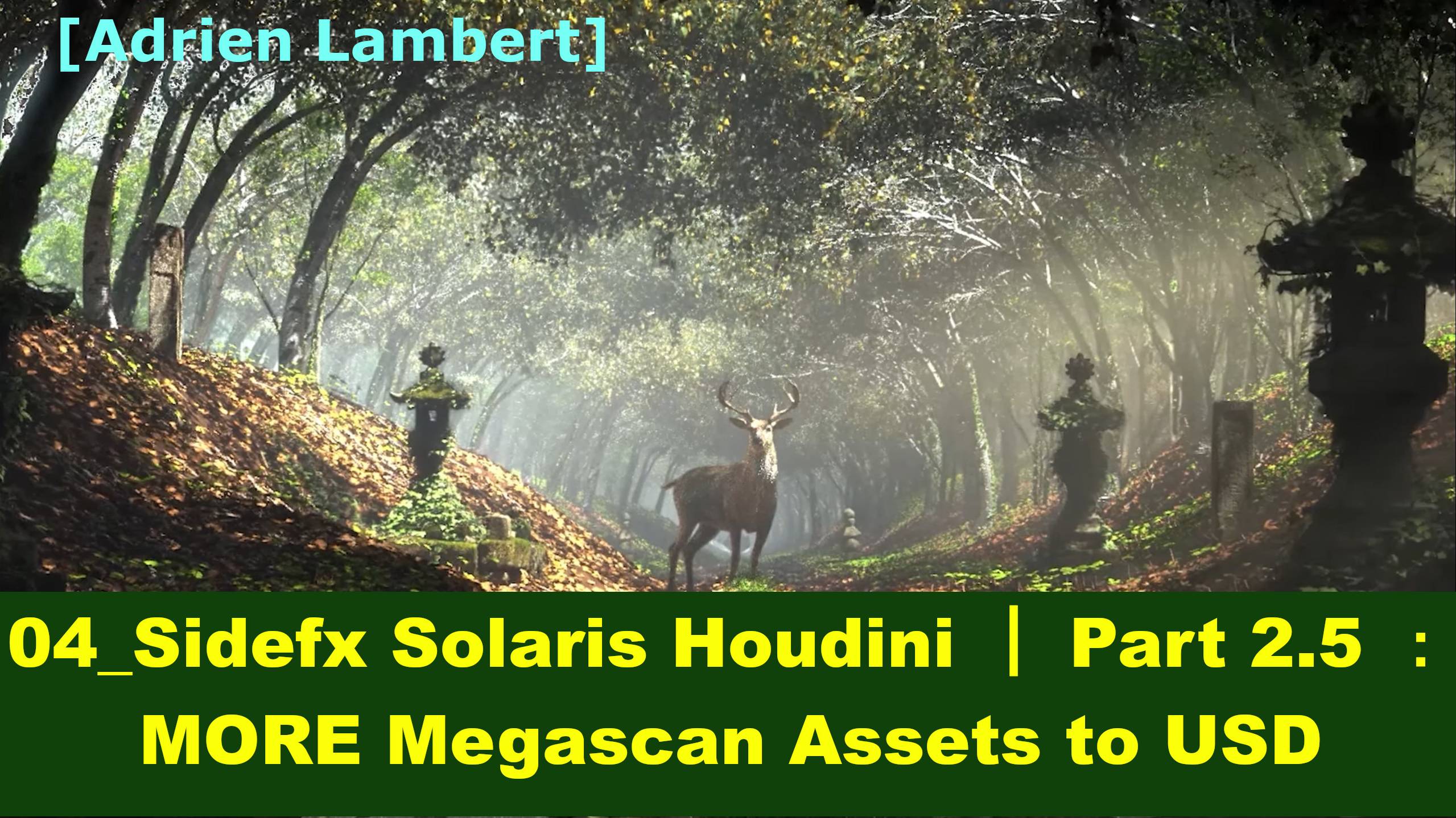 04_Sidefx Solaris Houdini ｜ Part 2.5 ： MORE Megascan Assets to USD