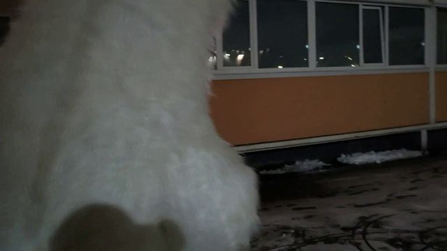 Рита день рождения