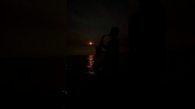 I will always love you.Taras Gusarov. #whitneyhouston #iwillalwaysloveyou #saxophone #selmer #cover