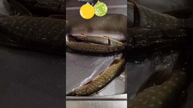 По щучьему велению