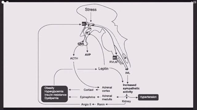 Webinar D2D - ACE-2 as the Entrance of Omicron Infection
