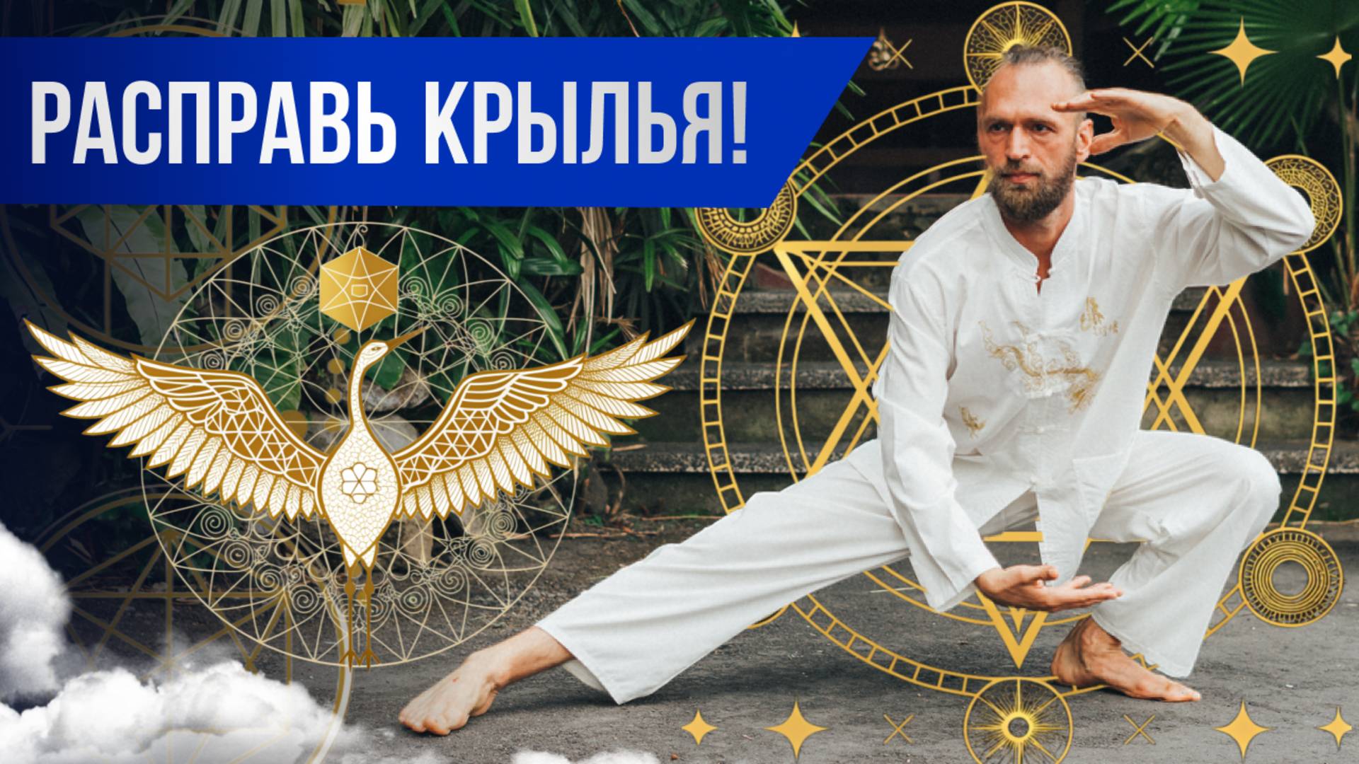 Упражнение Цигун Журавль расправляет крылья Динамический цигун стиль журавля