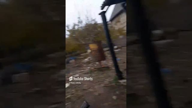 СВО 2024