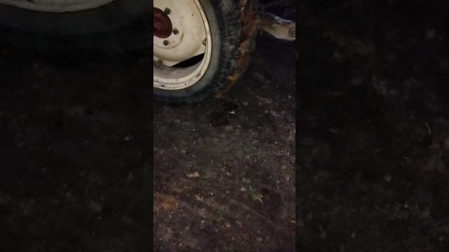 1000000753.mp4