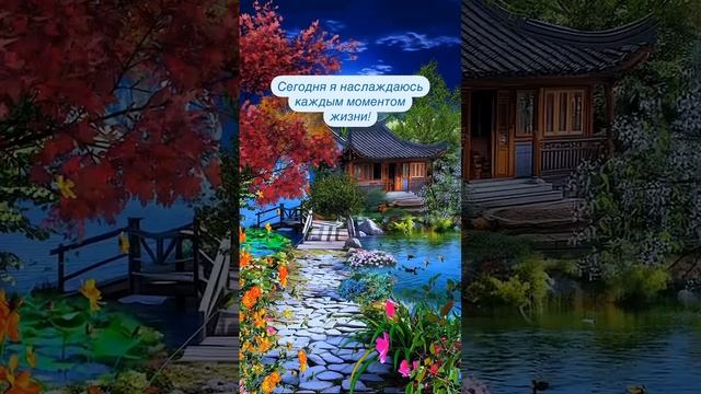 Сегодня я наслаждаюсь каждым моментом жизни