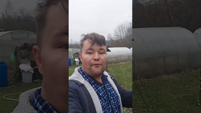 Это есть #вкаждомдоме, но многие об этом не знают и выбрасывают. Бесплатное #удобрение #длярастений.