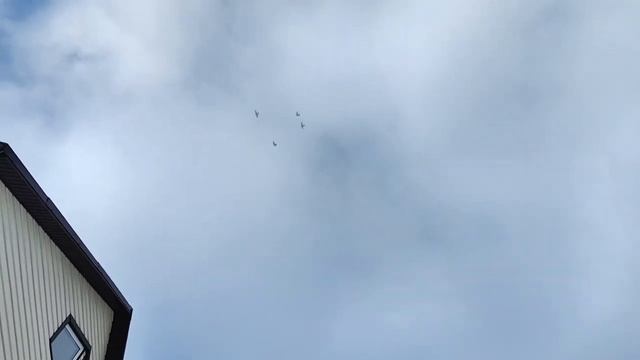 Ястреб тренирует голубей,а я кормлю белочку..mp4