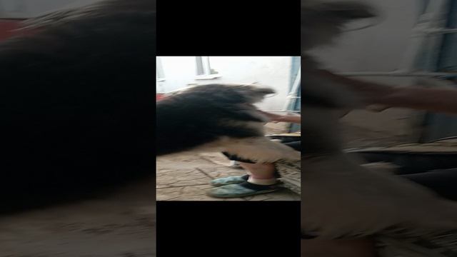 21-12-2024