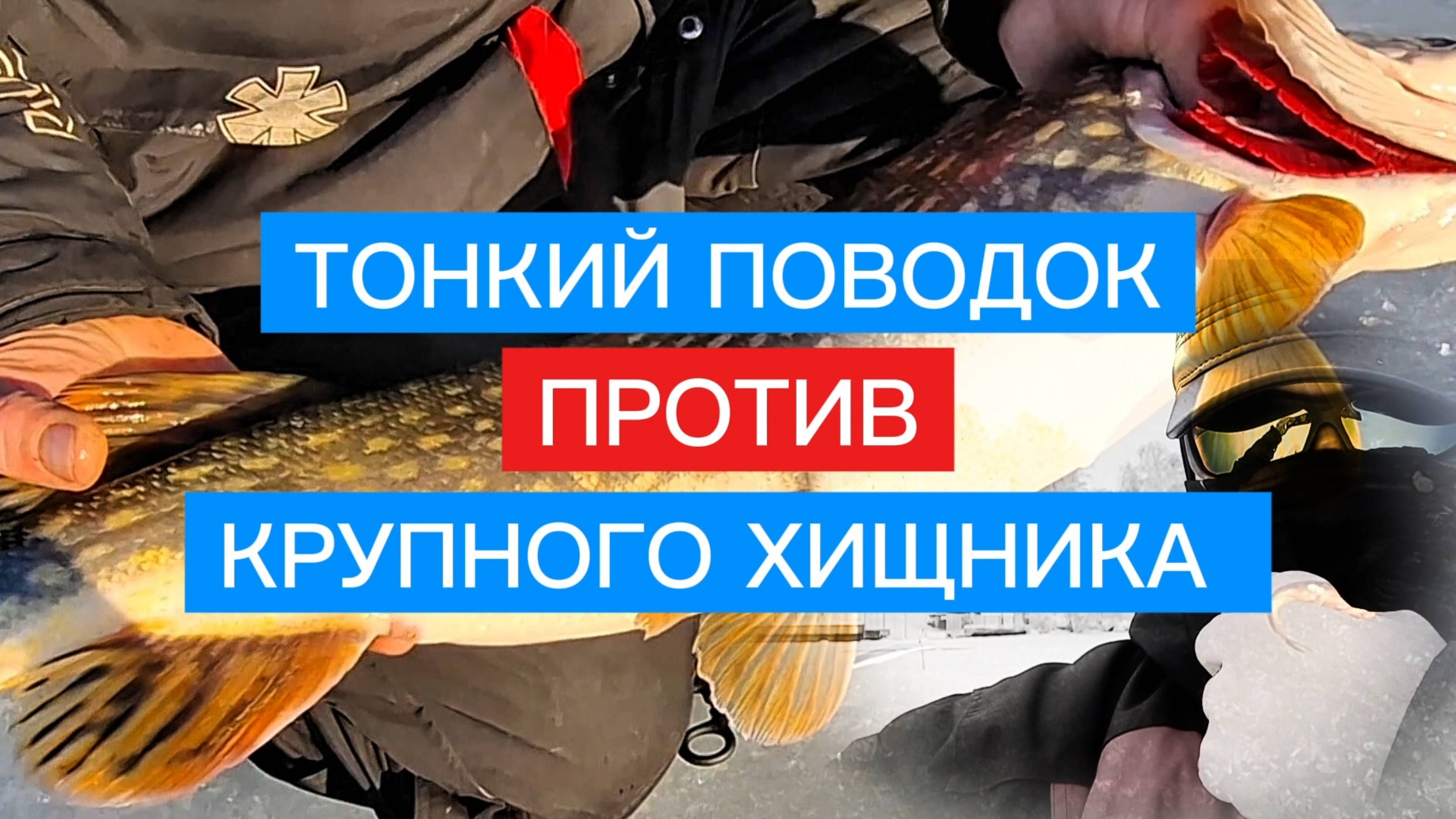 Ловля КРУПНОЙ щуки на ОЧЕНЬ ДЕЛИКАТНУЮ снасть. Щука на жерлицу.