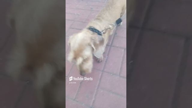 1000011132.mp4