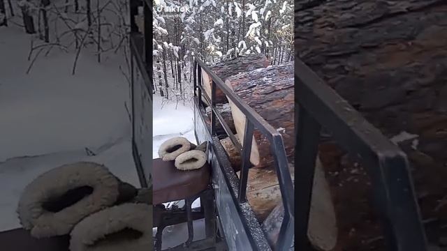 1000017841.mp4