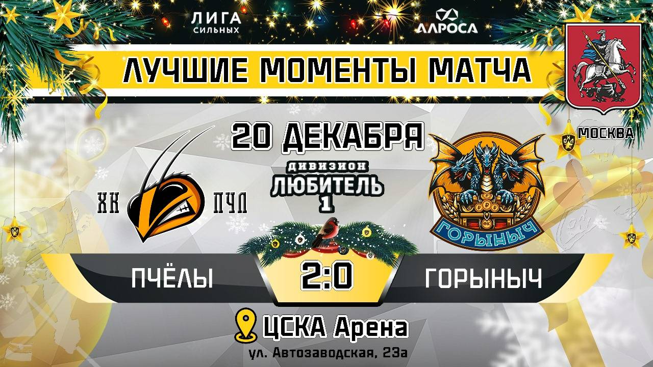 ОБЗОР / ПЧЁЛЫ - ГОРЫНЫЧ / 20.12.24 / ОХЛ МОСКВА / ДИВИЗИОН ЛЮБИТЕЛЬ 1