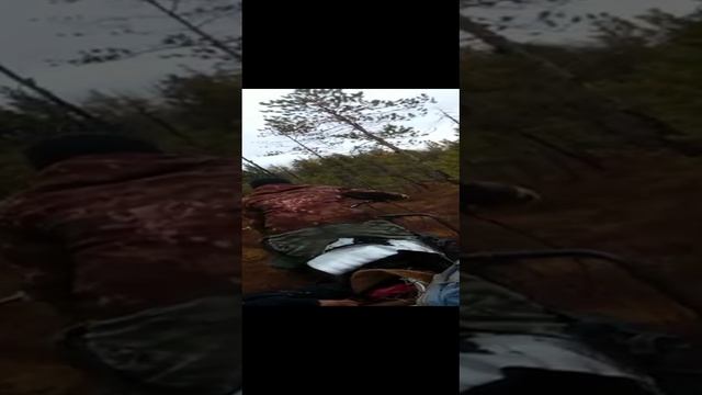 VID-20221005-WA0003.mp4