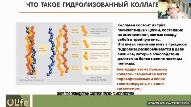 КОЛЛАГЕН, новые продукты от EVERGRENLINE