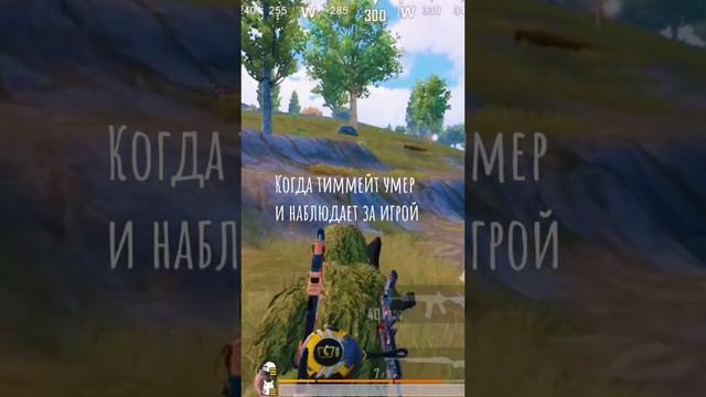 Приколы
