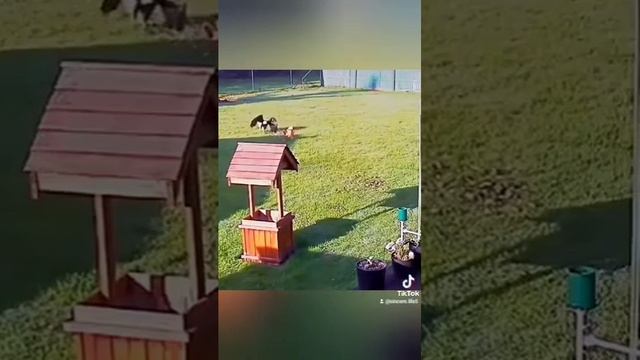 1000069108.mp4