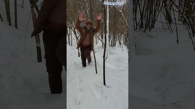 Гуляю по лесу