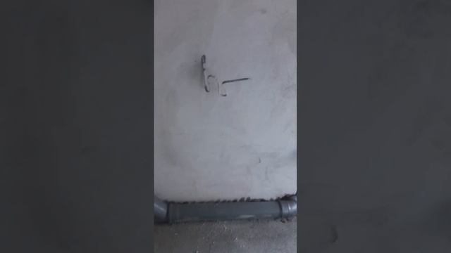дом Светлогорск 2