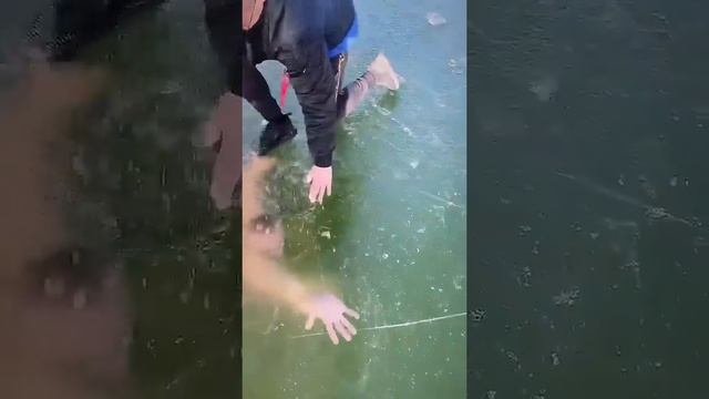 Нырнул под лёд, мог и помереть