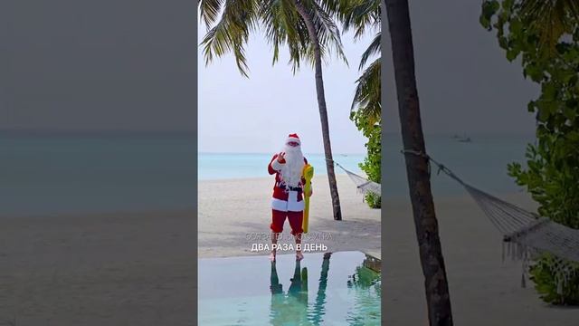 🎅Чисти зубы, улыбайся и загадывай желание!
@revyline_rus — лучшие в средствах гигиены полости рта.