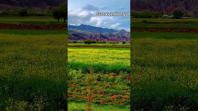Южная Сурхандарьинская область в Узбекистане