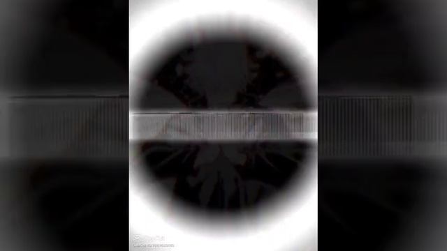 1000154701.mp4